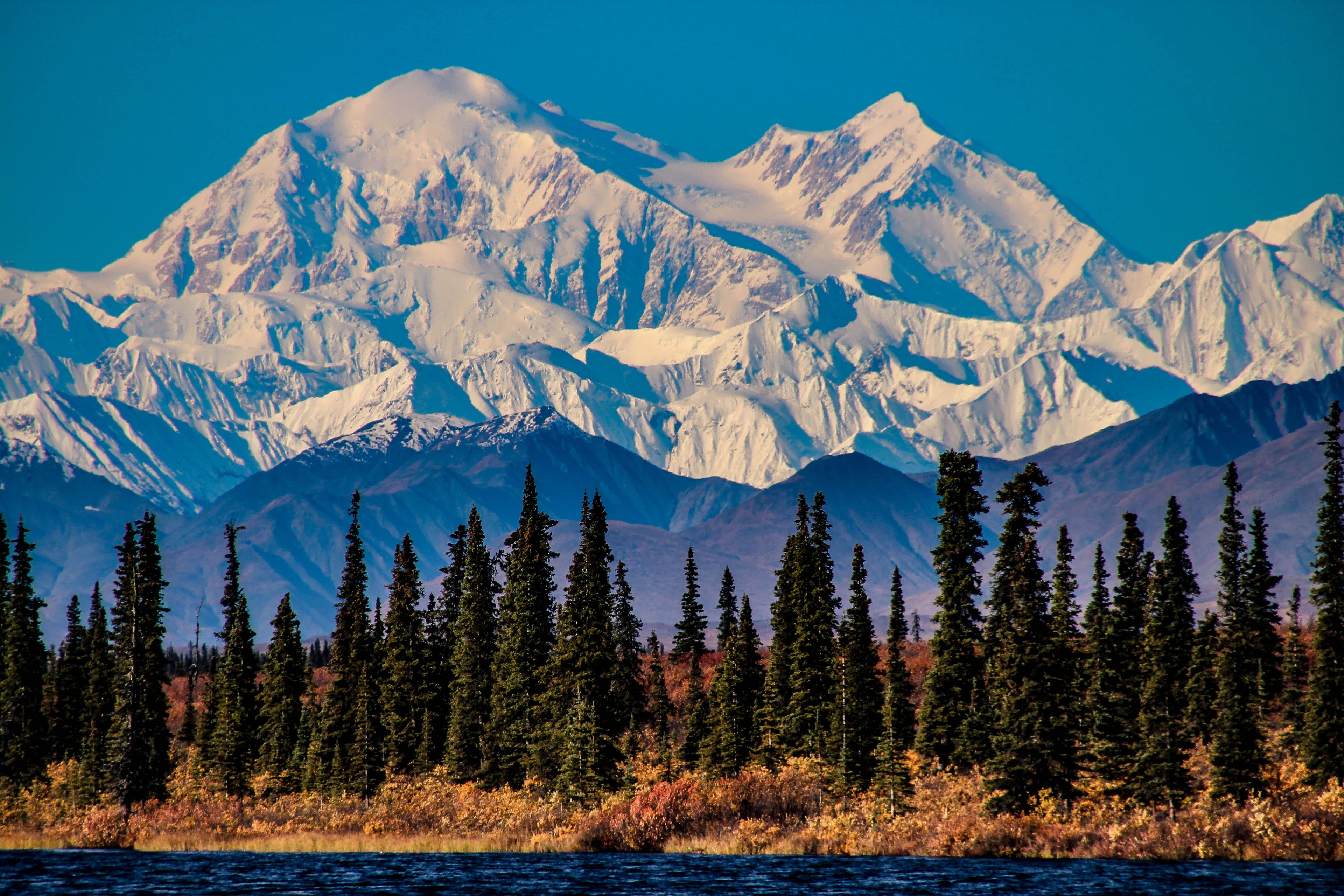 Book cruises to Alaska with Princess Online and Save