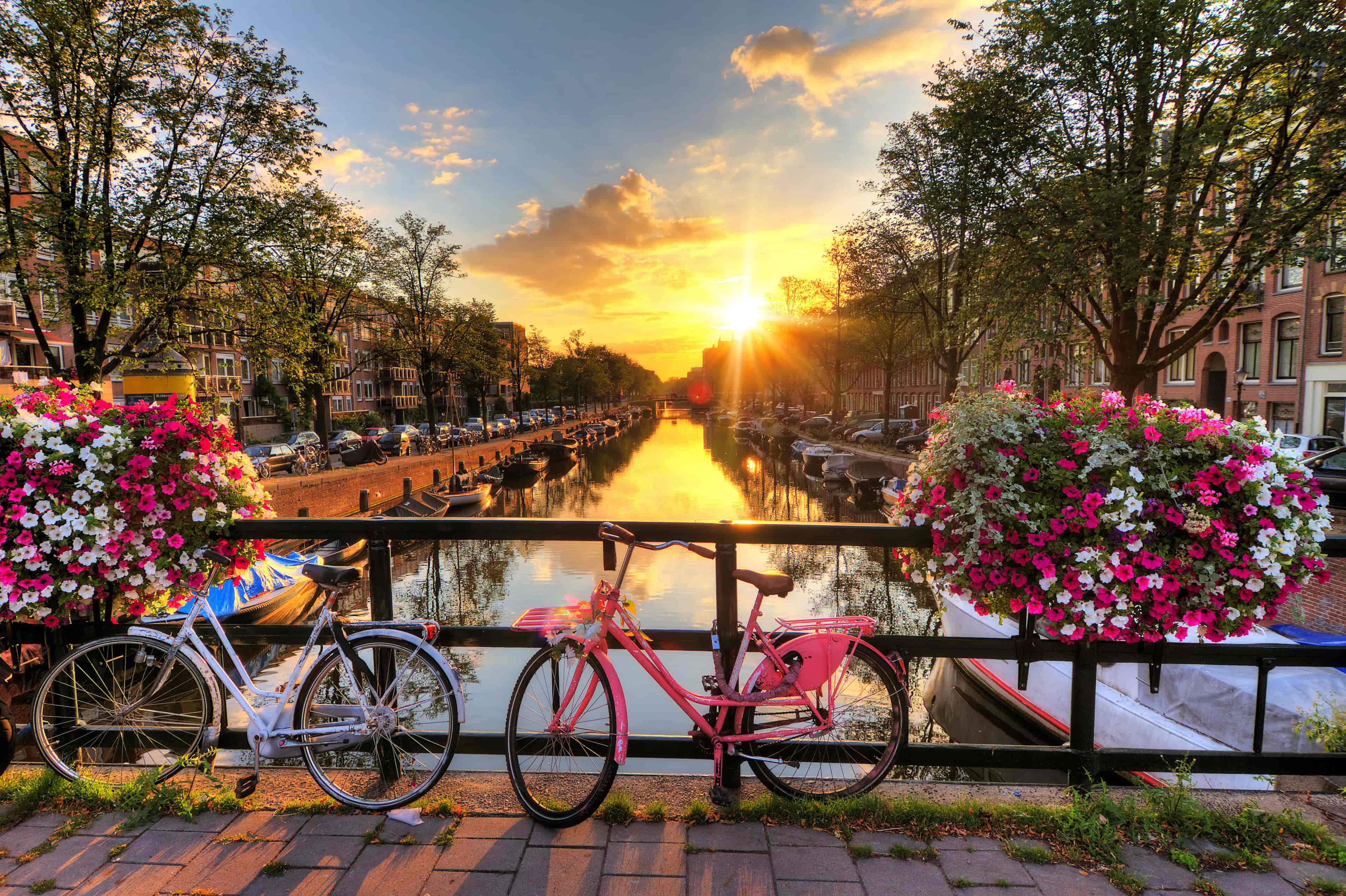 Book Cruises From Amsterdam The Netherlands Online And Save