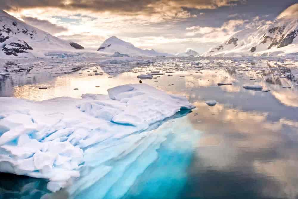 Book cruises to Antarctica Online And Save