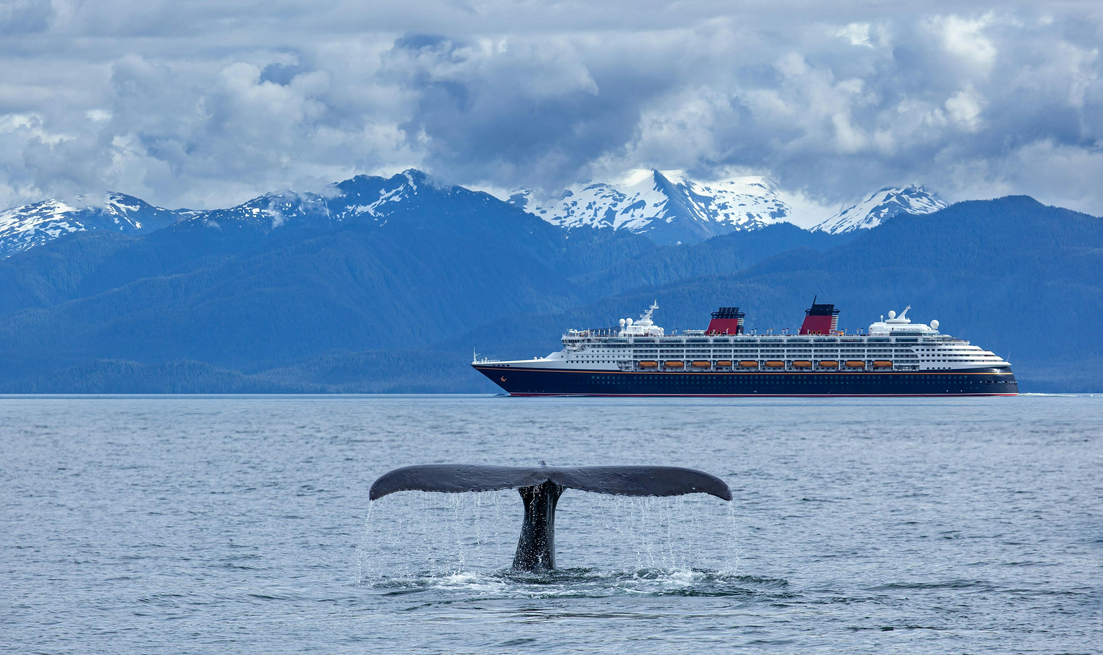 Best Alaska Cruise Itinerary preview image