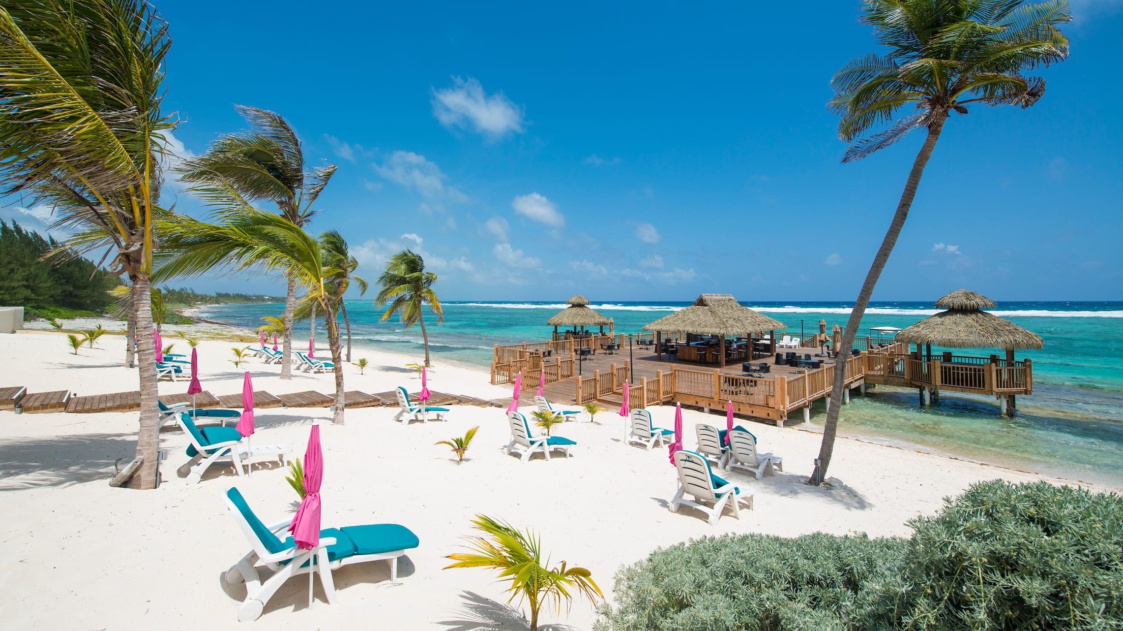 Book Cruises From Tampa Online And Save