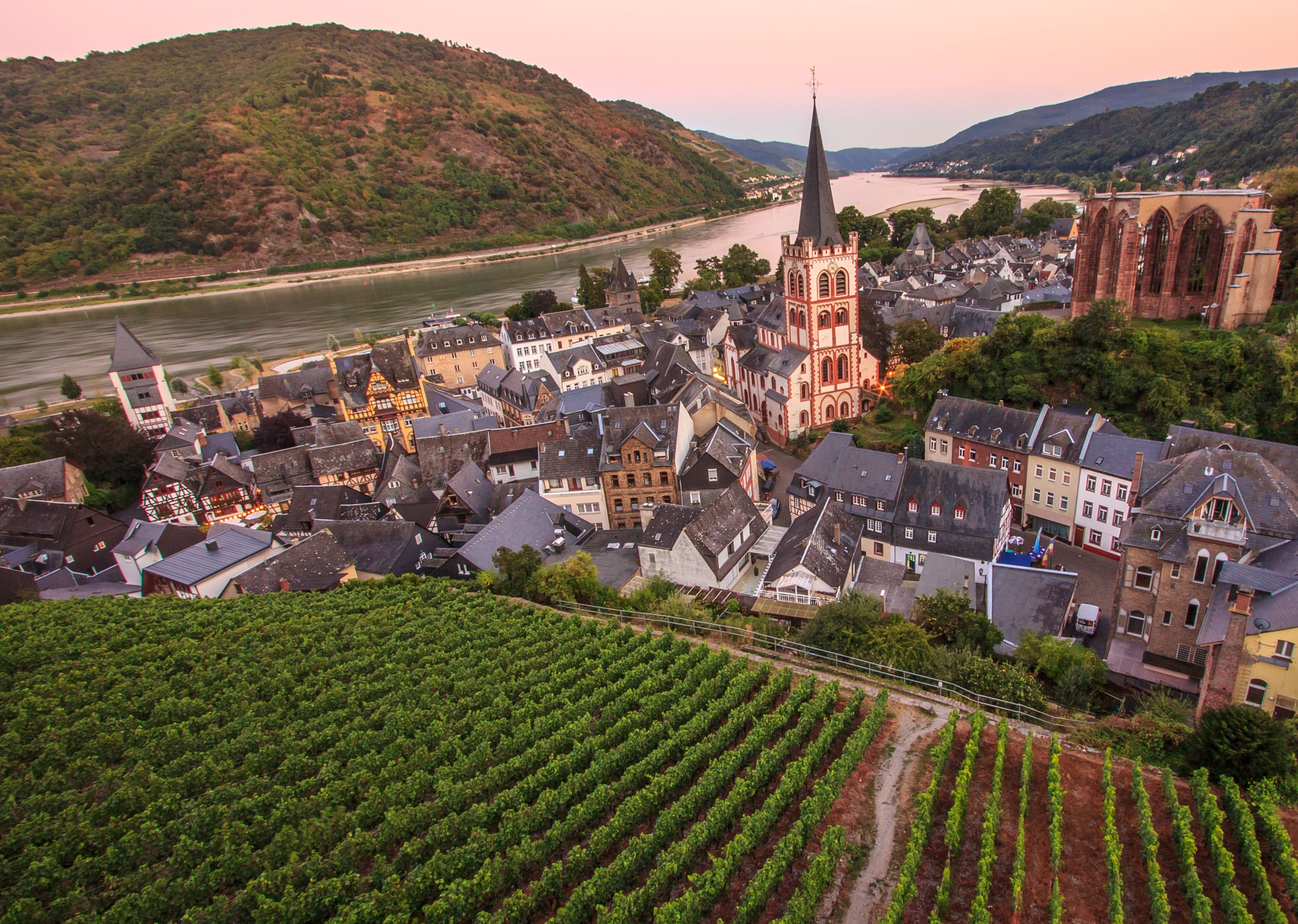 Book Your Dream River Cruise